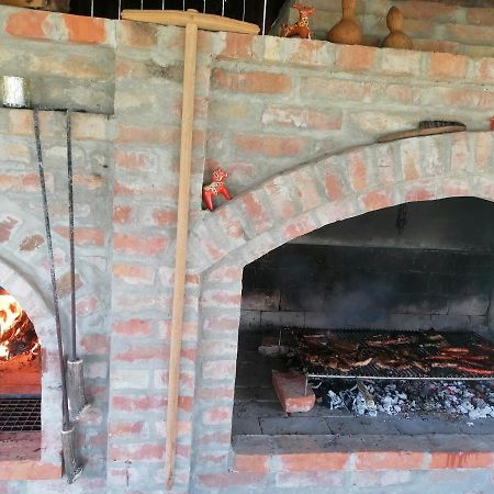 Baranja Black Hill'S Gajic المظهر الخارجي الصورة