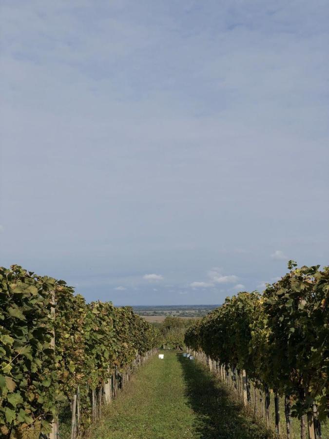 Baranja Black Hill'S Gajic المظهر الخارجي الصورة