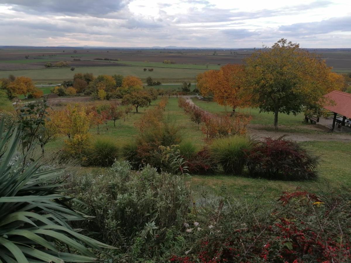 Baranja Black Hill'S Gajic المظهر الخارجي الصورة