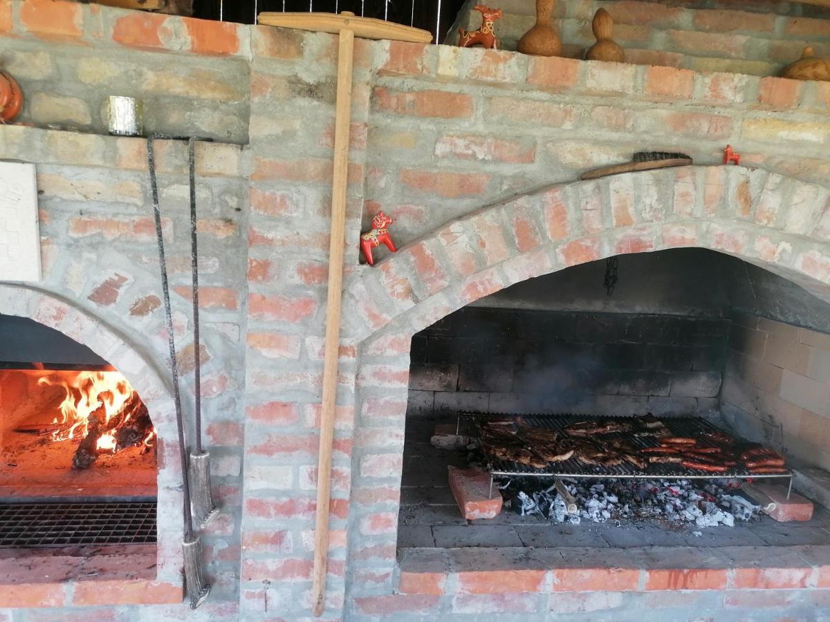 Baranja Black Hill'S Gajic المظهر الخارجي الصورة