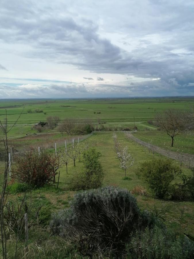 Baranja Black Hill'S Gajic المظهر الخارجي الصورة
